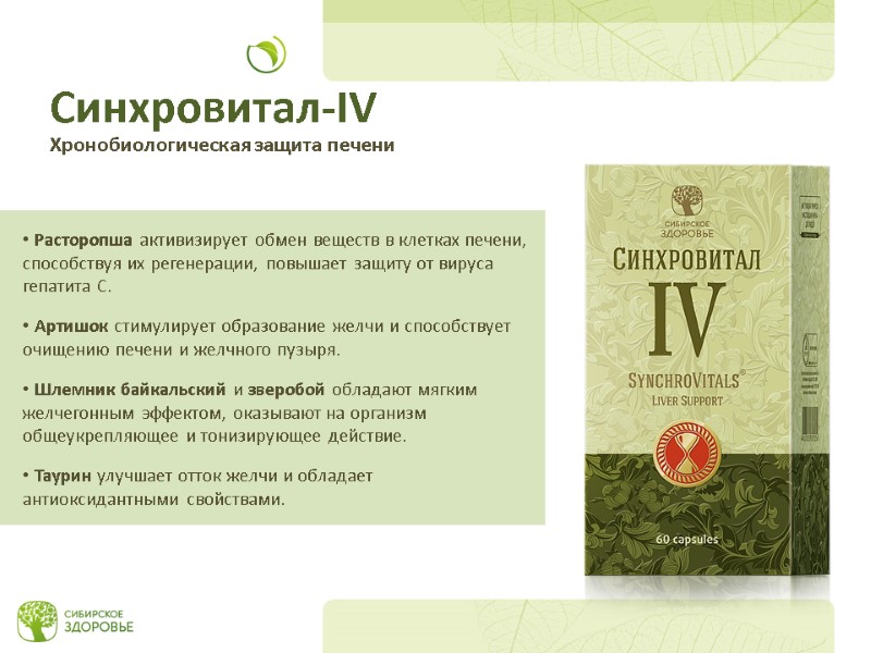 Синхровитал-IV Хронобиологическая защита печени  Расторопша активизирует обмен веществ в клетках печени, способствуя их